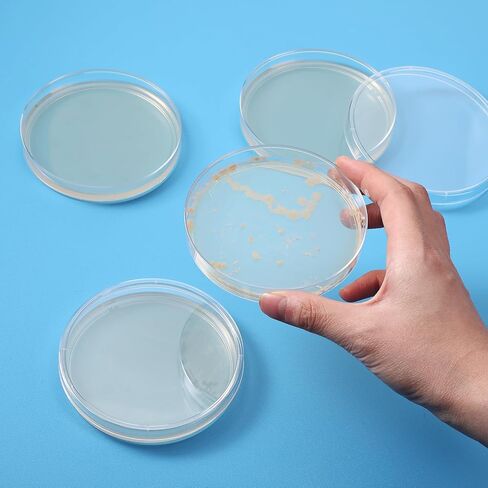 Relaxweex 90 Pieces Prepoured Agar Plates Kit Includes Petri Dishes with Agar Swabs Pipettes Storage Tubes Educational Science Kit Science Fair Project to Learn Microbiology in Kuwait