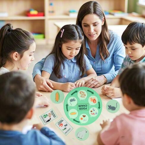 Life Cycle Toys for Kids-Food Chain & Food Web Science Education Toys - Montessori Animal Life Cycle Learning Toys for Toddlers-Preschool Classroom Must-Have Science Kits for Kids in Kuwait