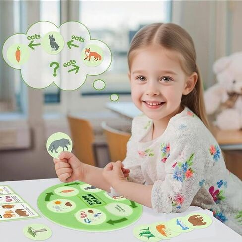 Life Cycle Toys for Kids-Food Chain & Food Web Science Education Toys - Montessori Animal Life Cycle Learning Toys for Toddlers-Preschool Classroom Must-Have Science Kits for Kids in Kuwait