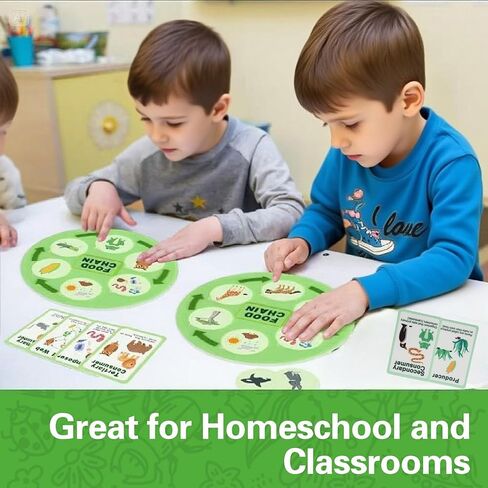 Life Cycle Toys for Kids-Food Chain & Food Web Science Education Toys - Montessori Animal Life Cycle Learning Toys for Toddlers-Preschool Classroom Must-Have Science Kits for Kids in Kuwait