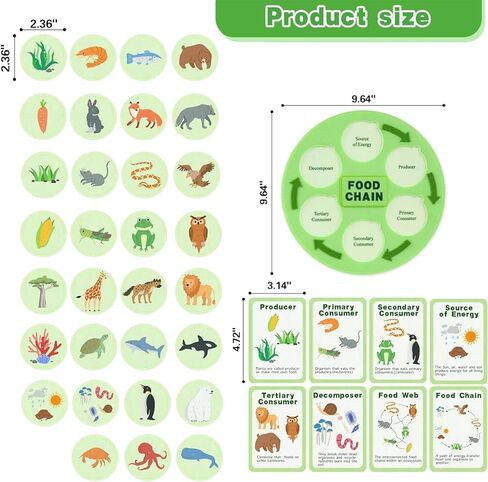 Life Cycle Toys for Kids-Food Chain & Food Web Science Education Toys - Montessori Animal Life Cycle Learning Toys for Toddlers-Preschool Classroom Must-Have Science Kits for Kids in Kuwait