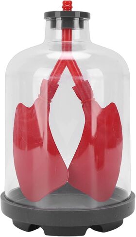 Luocute Lung Breathing Demonstration Model, Diaphragm Movement Simulator with Transparent Shells for Classroom Science Teaching and Respiratory Mechanics Shows Lung Diaphragm in Kuwait