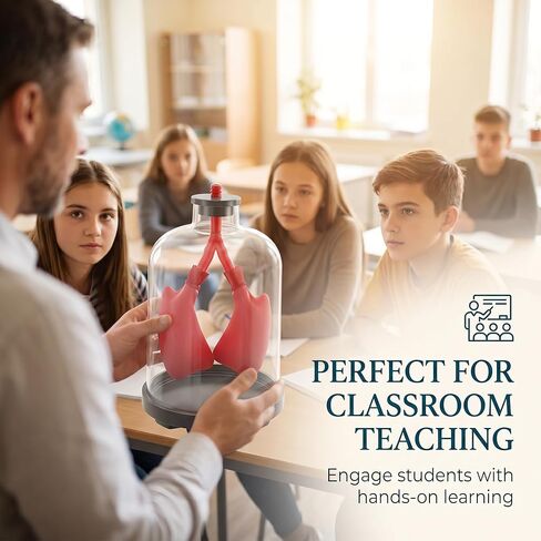 Luocute Lung Breathing Demonstration Model, Diaphragm Movement Simulator with Transparent Shells for Classroom Science Teaching and Respiratory Mechanics Shows Lung Diaphragm in Kuwait
