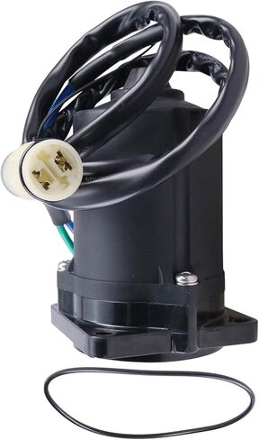 Tilt Trim Motor 36120-ZW4-H12 430-22111 430-22158 Compatible with Honda Outboard BF40 BF50 Engine For Arco 6237 in Saudi Arabia