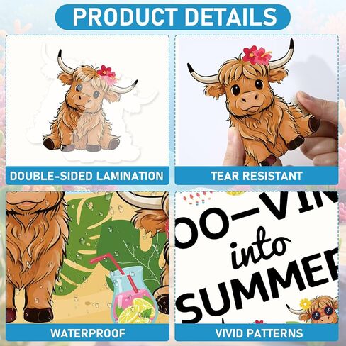 Summer Highland Cow Bulletin Board Highland Cow Classroom Bulletin Board Decorations Cows Mooving Into Summer Paper Cutouts for Back to School Chalkboard Door Wall Window Decor in Saudi Arabia