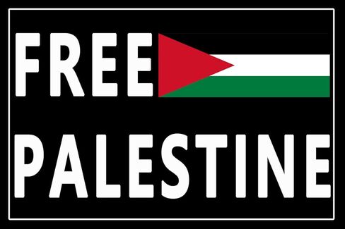 10 Pack Free Palestine Gaza Flag Arabic Freedom for Palestinians Stand with Israel Flag Support Israel Stickers Laptop Bumper Decal Window Waterproof Car Stickers in Saudi Arabia