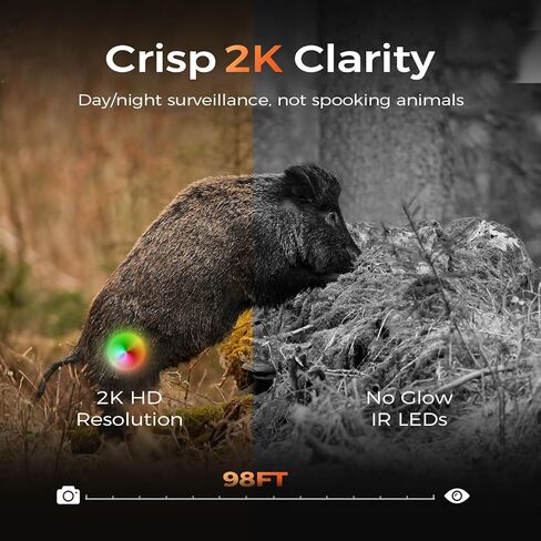3K Light Light Pulb Camera Wireless Outdoor ، IP65 Camera Security Camera Iddoor مع 2.4 جم ، رؤية ليلية كاملة اللون واكتشاف حركة 360 درجة ، 5 ميجابكسل كاميرا أمان رمادية in Kuwait