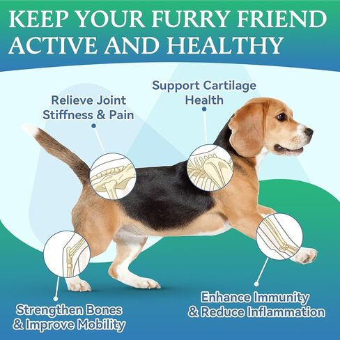 Joint Supplement for Dogs - Dog Joint Supplement Glucosamine for Dogs Hip and Joint Chondroitin Chews Treats for Dogs with MSM Lipid Mussels Vitamins Dog Hip and Joint Supplement for All Breed 200pcs in Saudi Arabia