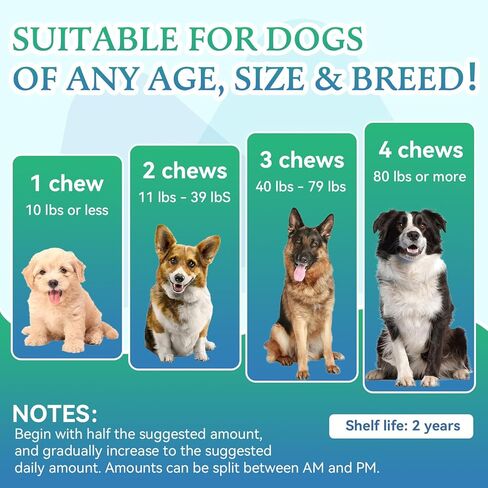 Joint Supplement for Dogs - Dog Joint Supplement Glucosamine for Dogs Hip and Joint Chondroitin Chews Treats for Dogs with MSM Lipid Mussels Vitamins Dog Hip and Joint Supplement for All Breed 200pcs in Saudi Arabia