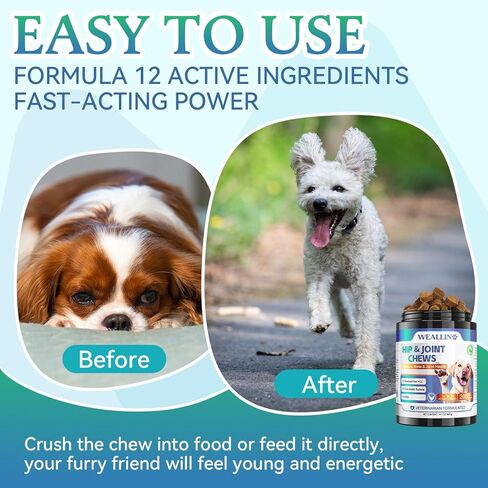 Joint Supplement for Dogs - Dog Joint Supplement Glucosamine for Dogs Hip and Joint Chondroitin Chews Treats for Dogs with MSM Lipid Mussels Vitamins Dog Hip and Joint Supplement for All Breed 200pcs in Saudi Arabia