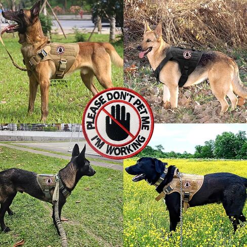 2 Pcs Service Dog Patch,Please Don't Pet Me I'm Working Tactical Patch,Embroidered Applique Fastener Hook and Loop Emblem,Funny Patches for Backpacks,Dog Harnesses,Service Animal Vests,Tactical Gear in Kuwait