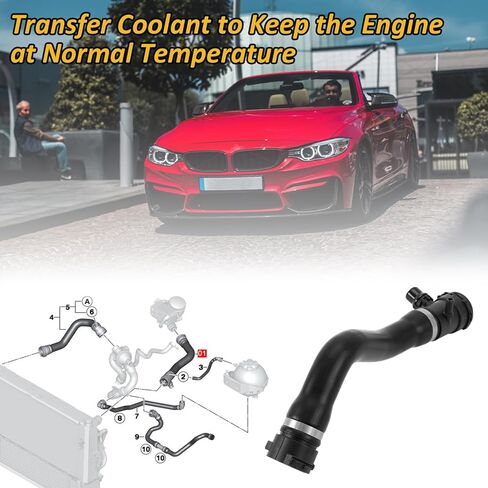 17127596837 CHR0590 Radiator Coolant Hose 2011-2024 for BMW F20 F23 F22 F34 F30 F31 F36 F33 F32 125i 220i 320i 328i 420i 428i 428i xDrive Replacement # V203324 DWB132TT 509932 053054 99175 in Saudi Arabia