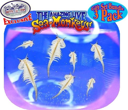 Matty's Toy Stop Schylling Sea-Monkeys Instant Life Mystery Eggs Blue, Pink & Orange Gift Set Bundle with Bonus Storage Bag - 3 Pack in Kuwait