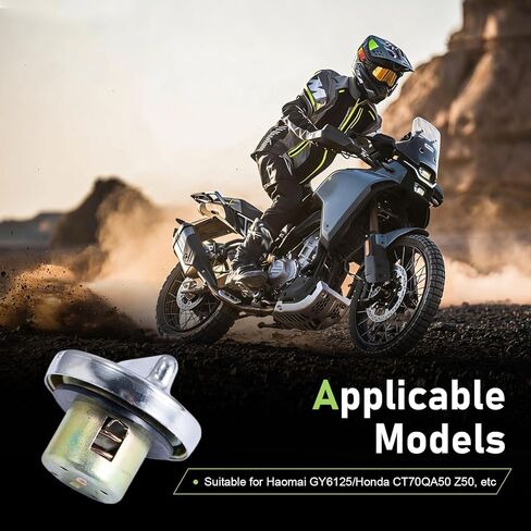Motorcycle Fuel Gas Tank Cap, Leak-proof Twist & Lock Cover, Anti-rust Thickened Seal Ring Cap, Compatible with GY6 50cc 150cc 250cc Engine Tank ATV Moped Scooter Dirt Bike (Silver) in Saudi Arabia