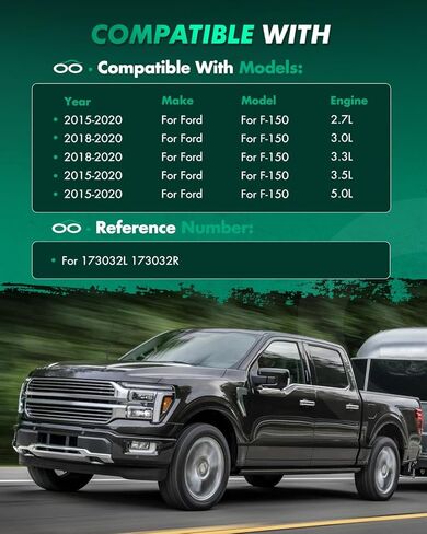 SCITOO 2Pcs Front Complete Struts Assembly Fit 2015-2020 for Ford for F-150 Strut Shock Assembly 173032L 173032R in Kuwait