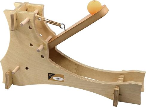 EISCO High Power Catapult Kit - Build Yourself - STEM Learning - Comes Explore Force, Acceleration, Hooke's Law & More - Garage Physics in Kuwait