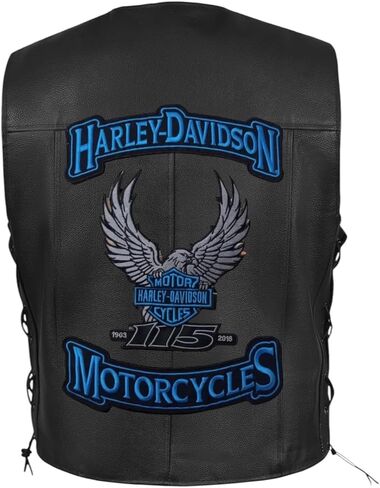 Pair Large Size Harley Iron On Embroidery Patch for Leather Jackets & Vest Size (11 Inches) Ram005 in Saudi Arabia