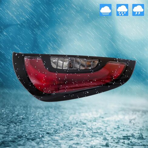 LABLT 1 Pcs Tail Light Replacement for Soul 2014 2015 2016 2017 2018 2019 Passenger Side RH Replacement for 92402B2010 in Kuwait