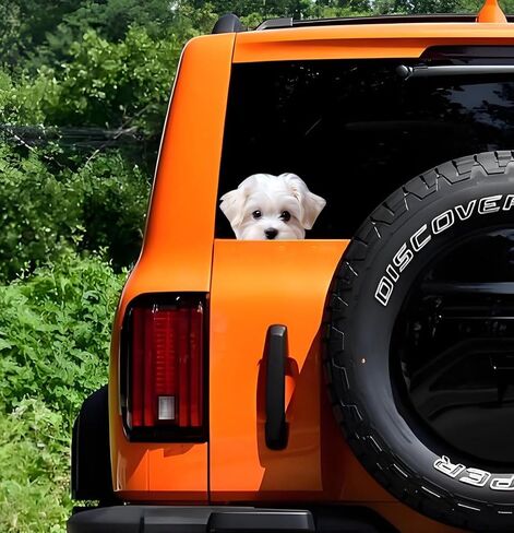 Maltese Dog Peeking Car Sticker, Vinyl, Waterproof, 5.12 x 3.15 in, 2-Piece Set, for Bumpers, Laptops, Glass and Walls #GTA010 in Kuwait