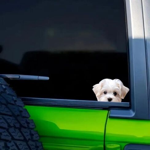 Maltese Dog Peeking Car Sticker, Vinyl, Waterproof, 5.12 x 3.15 in, 2-Piece Set, for Bumpers, Laptops, Glass and Walls #GTA010 in Kuwait