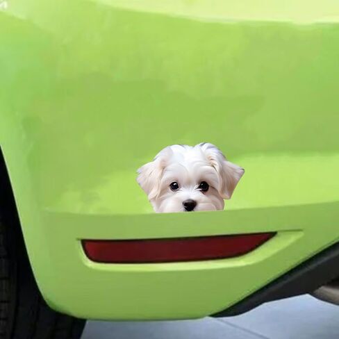 Maltese Dog Peeking Car Sticker, Vinyl, Waterproof, 5.12 x 3.15 in, 2-Piece Set, for Bumpers, Laptops, Glass and Walls #GTA010 in Kuwait