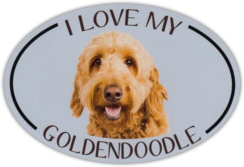 Oval Dog Breed Picture Car Magnet - I Love My Goldendoodle (Golden Doodle) in Saudi Arabia