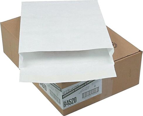 Survivor R4520 Tyvek Open-End Envelope,Plain,12-Inch x16-Inch x2-Inch,100/CT,White in Saudi Arabia