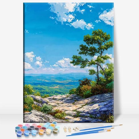 HUINORYA Birmingham Alabama Framed Canvas DIY Paint by Numbers Kit Bar Cafe Cave Home Room Wall Bathroom Porch Patio Decor Gift, 16 x 12 Inch in Saudi Arabia