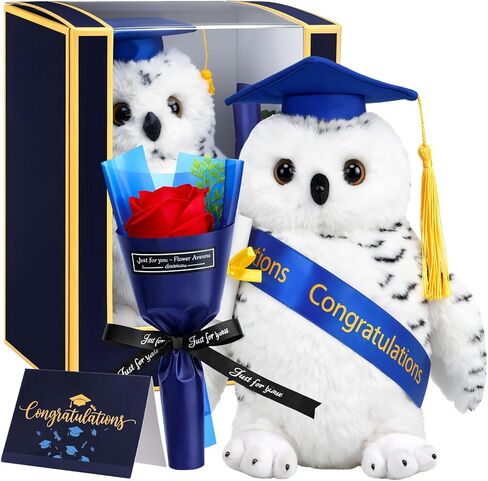 Hungdao Graduation Frog Plush Toy Gifts Set 8.6" Green Frog Stuffed Animal with Black Cap, Sash, Greeting Card and Artificial Rose for 2026 High School College Kindergarten Graduation Party Gifts in Kuwait