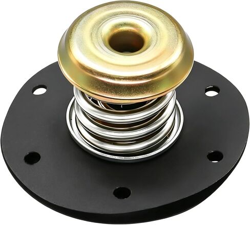 Fuel Pressure Regulator Diaphragm Compatible with 1985-1995 Chevy Camaro Pontiac Firebird PR10 Replace 17110851 17112281 SKPR10 in Kuwait