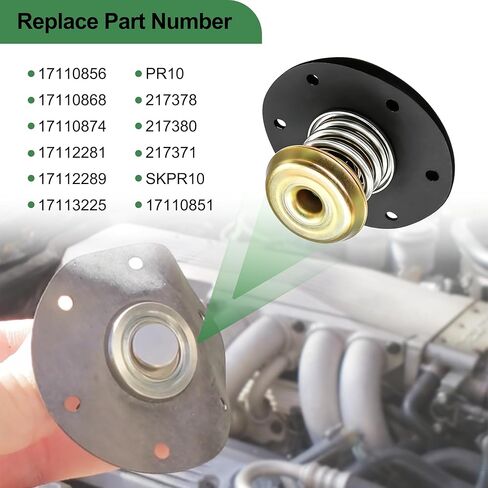 Fuel Pressure Regulator Diaphragm Compatible with 1985-1995 Chevy Camaro Pontiac Firebird PR10 Replace 17110851 17112281 SKPR10 in Kuwait