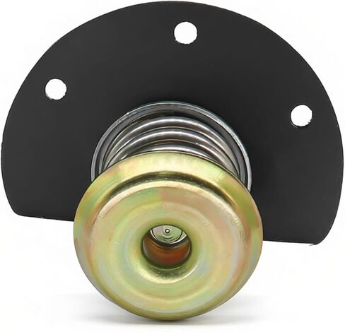 Fuel Pressure Regulator Diaphragm Compatible with 1985-1995 Chevy Camaro Pontiac Firebird PR10 Replace 17110851 17112281 SKPR10 in Kuwait