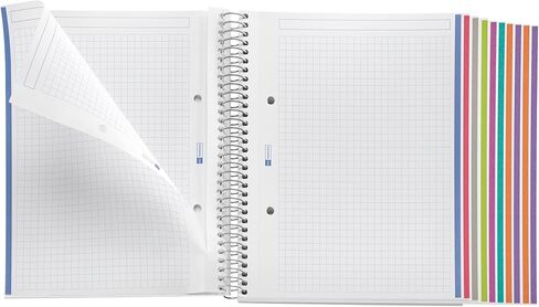 Miquelrius 47044 Notebook, 200 Sheets (10 Colour Stripes), 5 mm Square, Polypropylene Cover, Black, A5 in Saudi Arabia