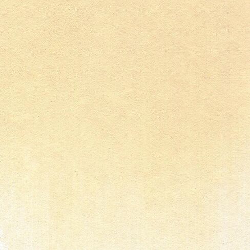 PanPastel Artist Pastels من GOLDEN، لون أكسيد أصفر، قطر المقلاة 2.44 بوصة / 62 مم، ألوان باستيل للفنانين المحترفين، شكل مقلاة فريد (يشبه الكعكة) in Kuwait