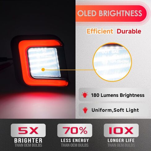 Ram Led لوحة ترخيص ضوء OEM استبدال لـ 2003-2018 D0dge Ram 1500 2500 3500 أبيض أحمر OLED خلفي رقم الترخيص لوحة علامة الذيل مصباح 2 قطعة عدسة الدخان in Saudi Arabia