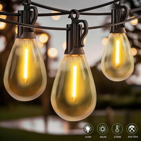 BORT S14 LED Replacement Light Bulb, Shatterproof Outdoor String Light Bulbs, 1 Watt to Replace 11Watts Incandescent Bulb, E26 Regular Medium Screw Base, 2200K Warm White, Non-Dimmable (15 Pack) in Saudi Arabia