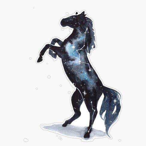 MAGNET Galaxy Horse Magnetic Vinyl Sticker Decal Magnet 5" in Kuwait