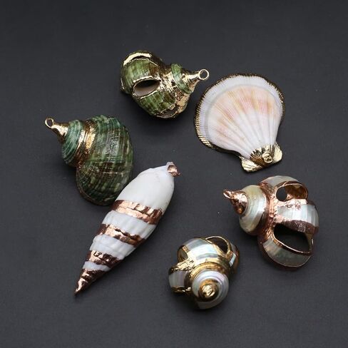20pcs Natural Shell Pendants Spiral Conch Shell Beach Cowrie Sea Shells Charms Jewelry Charms Ocean Beach Dangle Beads for Nautical Ocean Summer Jewelry Craft Making in Kuwait