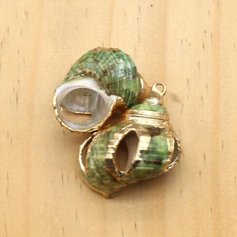 20pcs Natural Shell Pendants Spiral Conch Shell Beach Cowrie Sea Shells Charms Jewelry Charms Ocean Beach Dangle Beads for Nautical Ocean Summer Jewelry Craft Making in Kuwait
