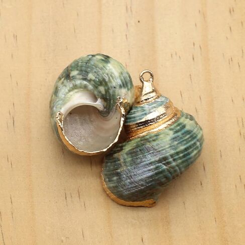20pcs Natural Shell Pendants Spiral Conch Shell Beach Cowrie Sea Shells Charms Jewelry Charms Ocean Beach Dangle Beads for Nautical Ocean Summer Jewelry Craft Making in Kuwait