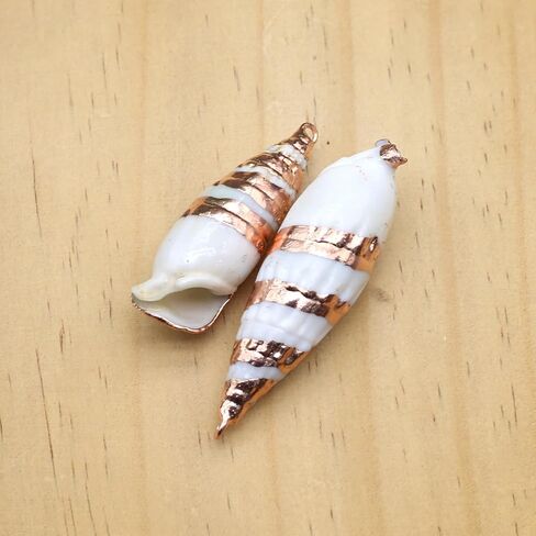 20pcs Natural Shell Pendants Spiral Conch Shell Beach Cowrie Sea Shells Charms Jewelry Charms Ocean Beach Dangle Beads for Nautical Ocean Summer Jewelry Craft Making in Kuwait