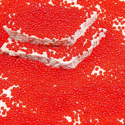Legefo 4mm Glass Seed Beads Bulk, Red Transparent 6/0 Small Mini Pony Seed Beads, Tiny Round Craft Bead for Bracelet Necklace Wrist Jewelry Making Beading Weaving DIY Crafts Supplies, 1000pcs in Kuwait