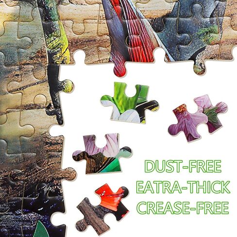 Puzzles for Adults 500 Pieces Bird Jigsaw Puzzles for Adults Colorful Hummingbird Puzzle Summer Cute Family Challenging Puzzle Games in Saudi Arabia