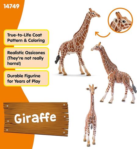 Schleich Wild Life, Animal Figurine, Animal Toys for Boys and Girls 3-8 years old, Male Giraffe, Ages 3+ in Kuwait