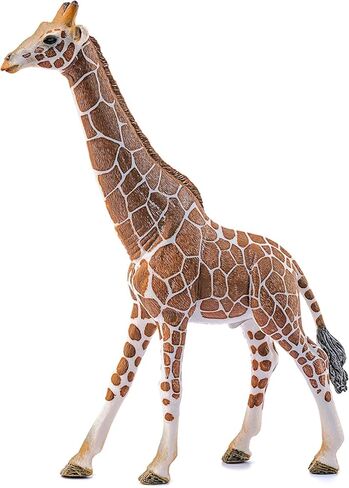 Schleich Wild Life, Animal Figurine, Animal Toys for Boys and Girls 3-8 years old, Male Giraffe, Ages 3+ in Kuwait