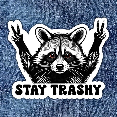 رقعة Stay Trashy Patch Funny Meme Raccoon المطرزة لحقيبة الظهر، والقبعة، والسترات، والكي على الخياطة، والزي الموحد DIY المطرز PVC، وإكسسوارات الهدايا له مقاس 3 بوصات in Saudi Arabia
