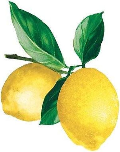 Lemon - Sticker Graphic - Auto, Wall, Laptop, Cell, Truck Sticker for Windows, Cars, Trucks in Saudi Arabia