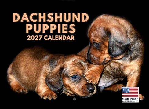 Dachshund Puppy Calendar 2025 Monthly Wall Calender 12 Month | American Made In The USA in Saudi Arabia
