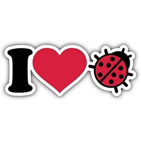 KW Vinyl Magnet I Love Ladybug Truck Car Magnet Bumper Sticker Magnetic 5" in Saudi Arabia