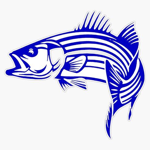 Striped Bass Vinyl Sticker Waterproof Decal Laptop Wall Window Bumper Sticker 5" in Saudi Arabia